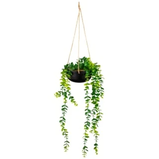 B&M Hanging Trailing Plant In Ceramic Pot - Image 2